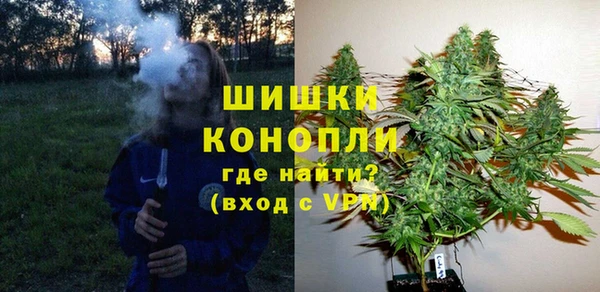 ПСИЛОЦИБИНОВЫЕ ГРИБЫ Фурманов