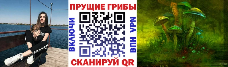 Псилоцибиновые грибы Psilocybine cubensis  Купить закладки  Нарткала 